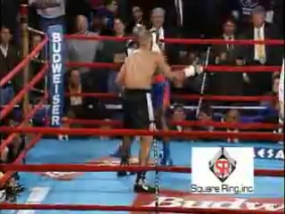 roy jones - best knockouts